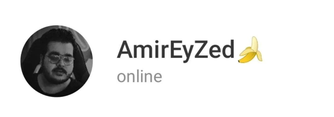 The AmirEyZed profile with its 🍌
